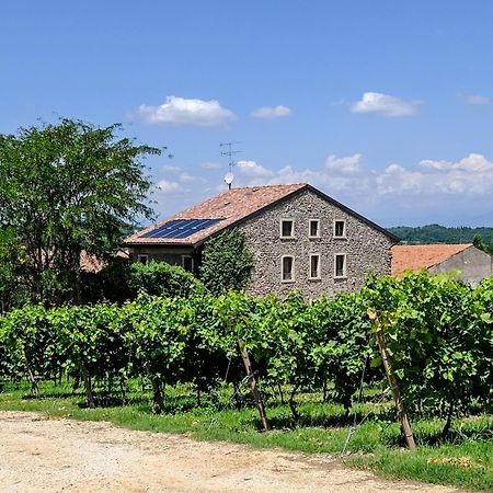 Seiterre Agriturismo Tenuta San Leone Villa Valeggio sul Mincio Eksteriør bilde