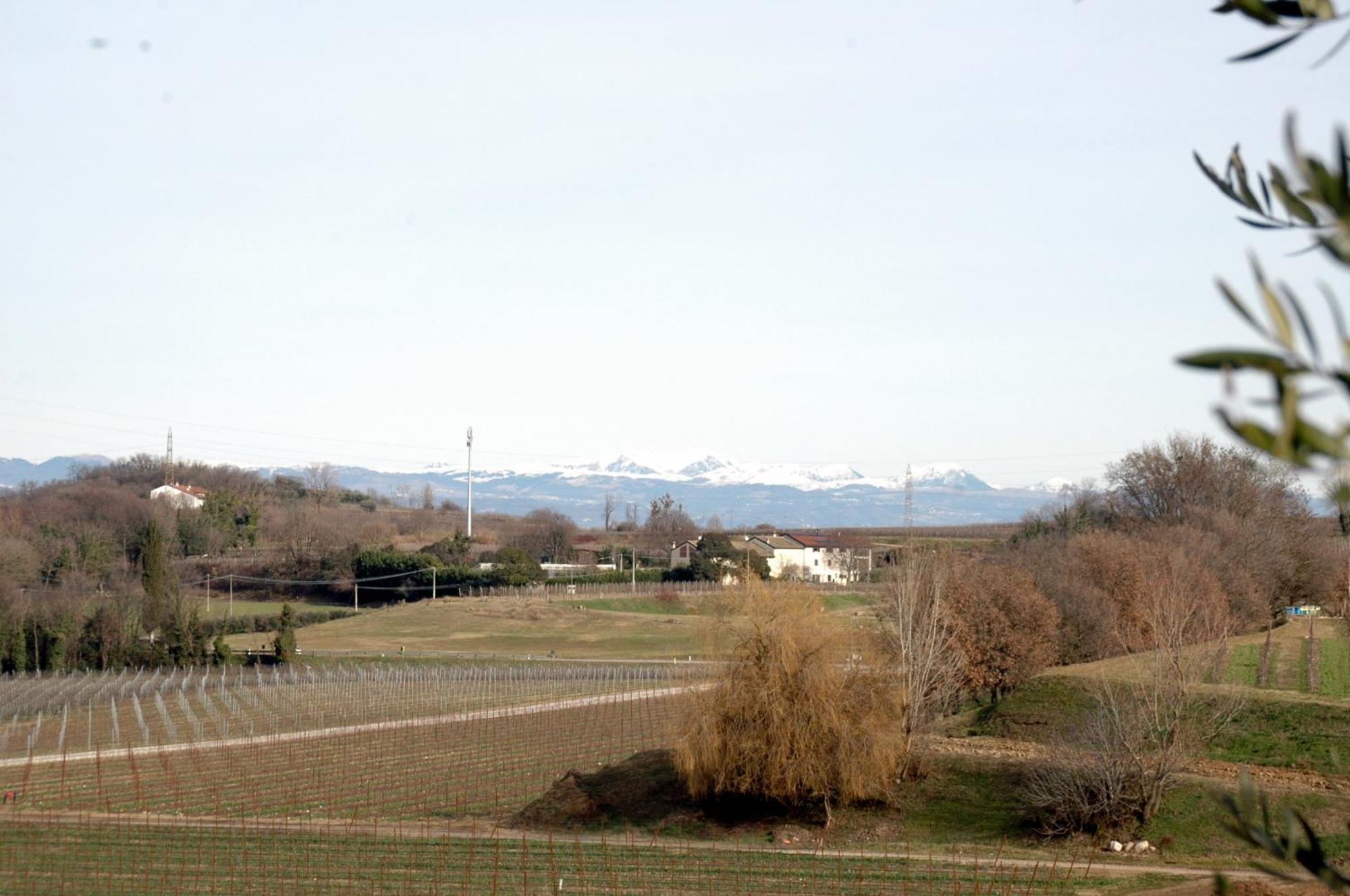 Seiterre Agriturismo Tenuta San Leone Villa Valeggio sul Mincio Eksteriør bilde