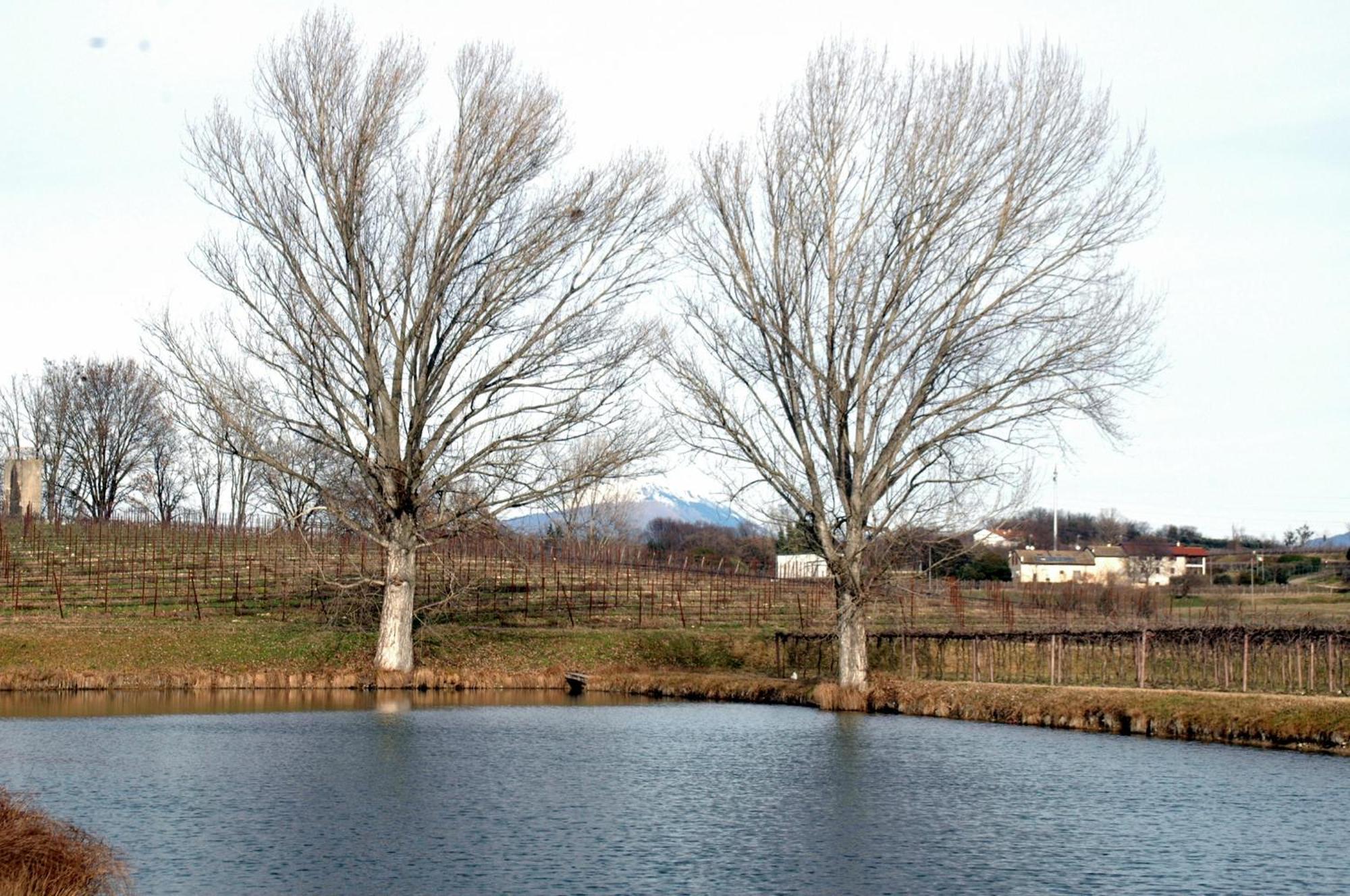 Seiterre Agriturismo Tenuta San Leone Villa Valeggio sul Mincio Eksteriør bilde