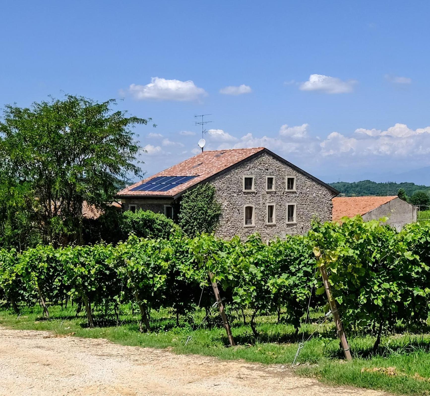 Seiterre Agriturismo Tenuta San Leone Villa Valeggio sul Mincio Eksteriør bilde