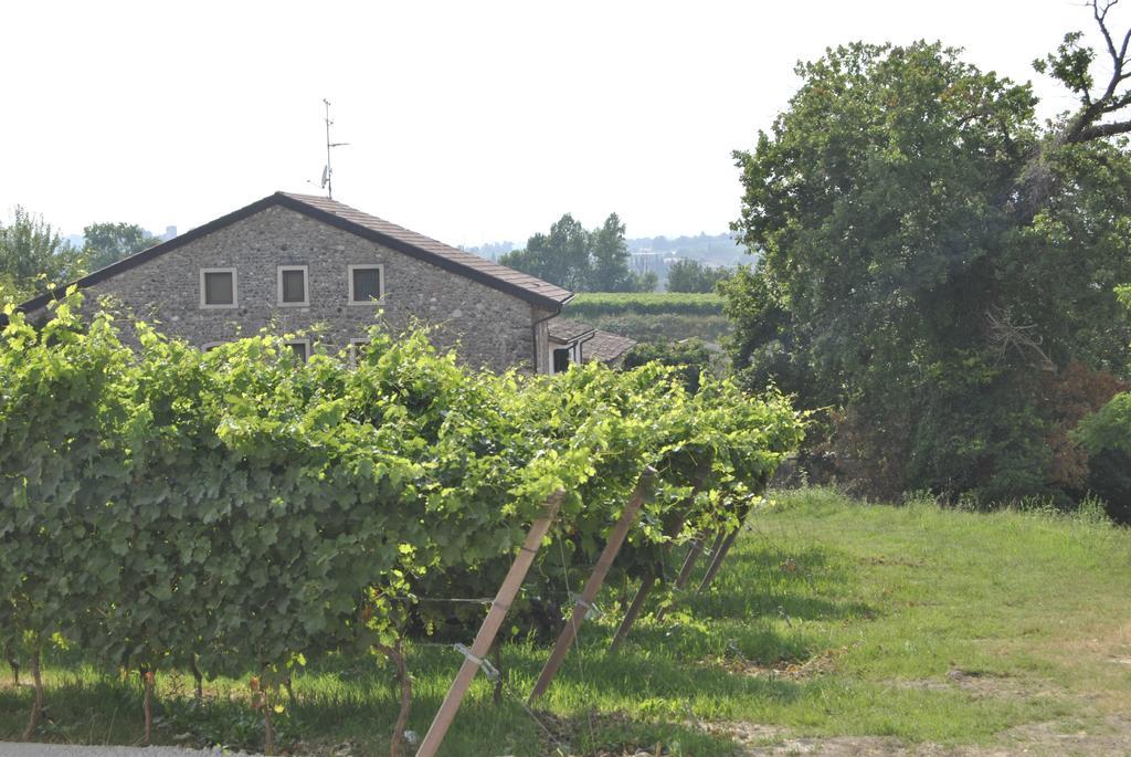 Seiterre Agriturismo Tenuta San Leone Villa Valeggio sul Mincio Eksteriør bilde