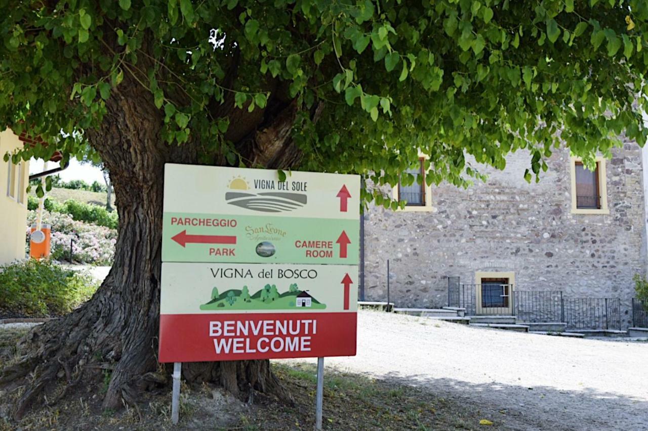 Seiterre Agriturismo Tenuta San Leone Villa Valeggio sul Mincio Eksteriør bilde