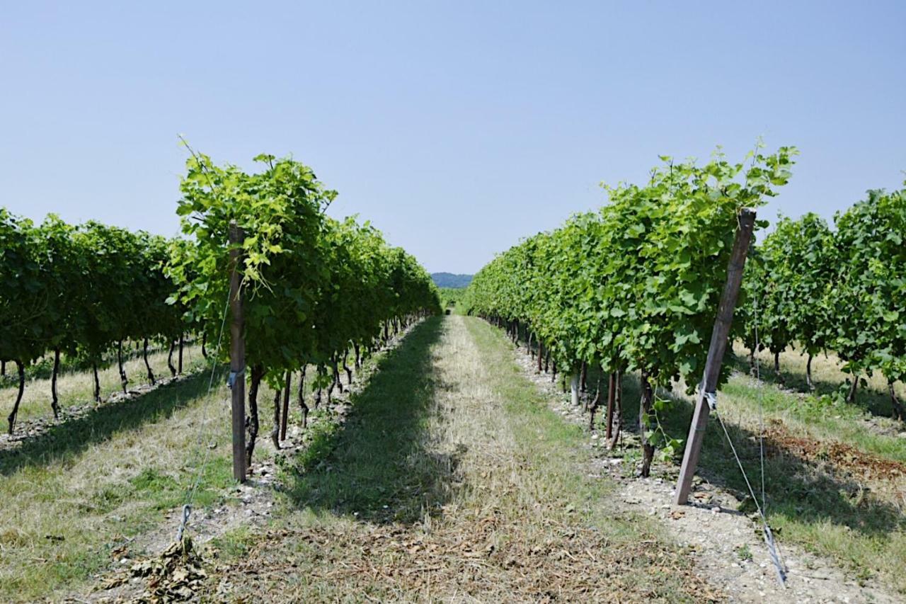 Seiterre Agriturismo Tenuta San Leone Villa Valeggio sul Mincio Eksteriør bilde