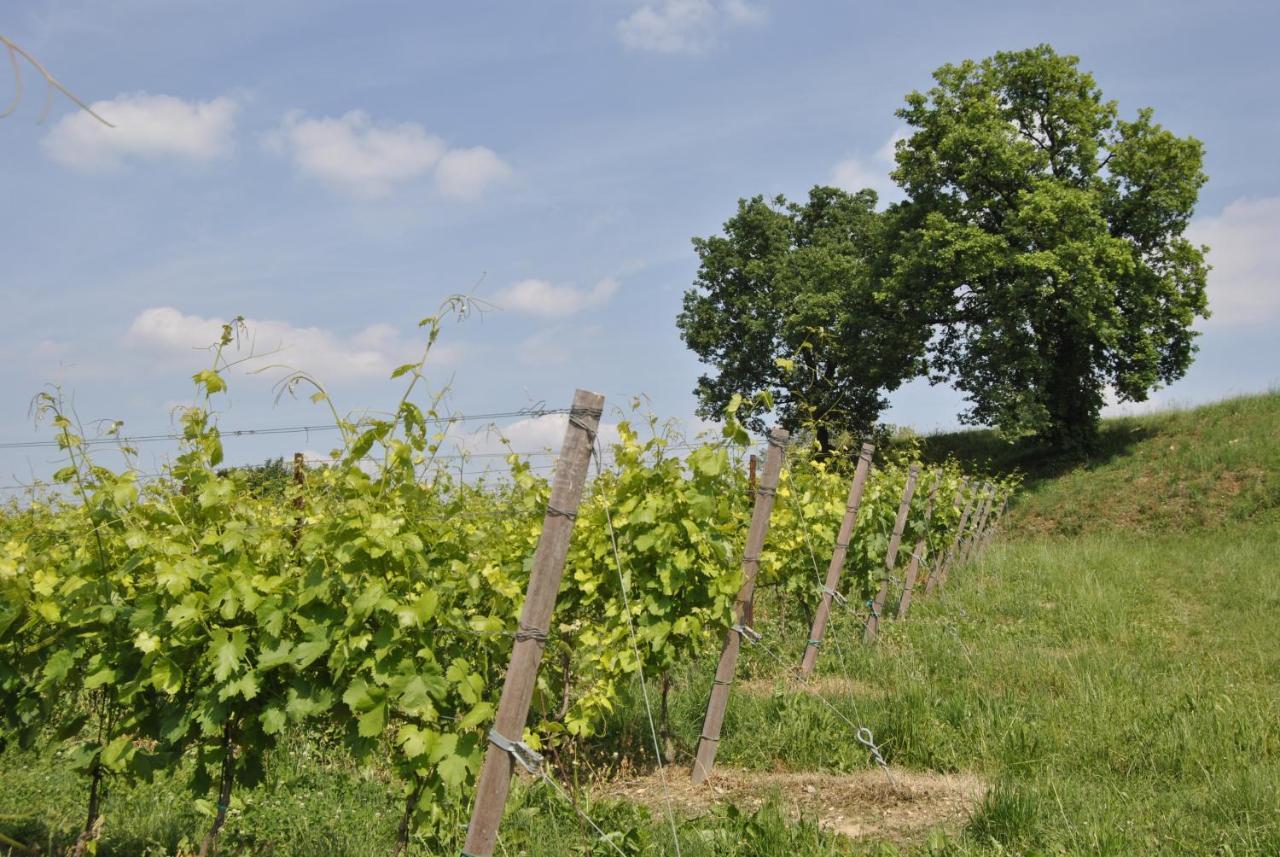 Seiterre Agriturismo Tenuta San Leone Villa Valeggio sul Mincio Eksteriør bilde